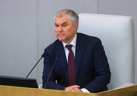 Володин раскритиковал Роспотребнадзор из-за жидкого мыла в школах