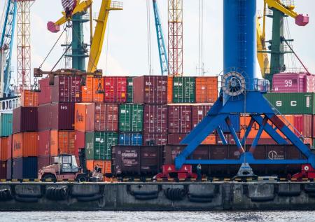 Незаконные склады морских контейнеров ликвидируют в Подмосковье
