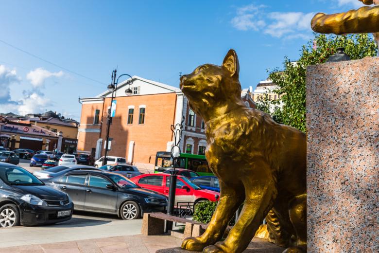 Сквер сибирских кошек