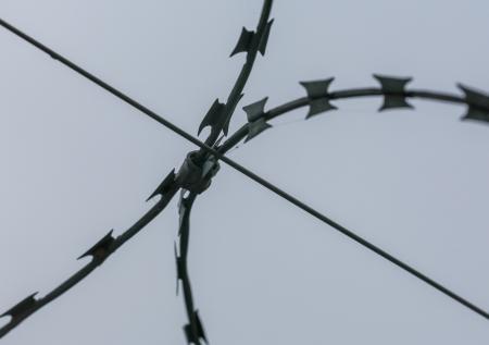 Суд вынес приговор обвиненному в госизмене и терроризме режиссеру
