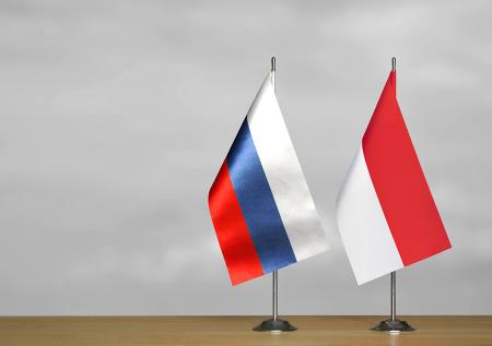 Россия и Индонезия договорились о сотрудничестве в еще одной области