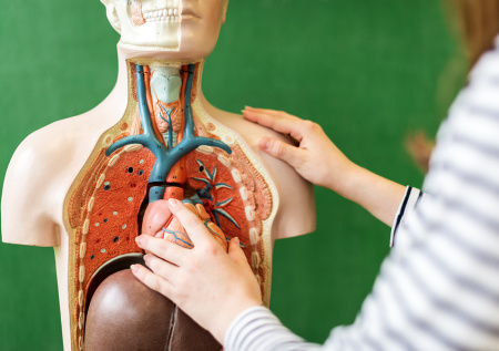 Утвержден минимум баллов по ЕГЭ для поступления в медвузы в 2026 году