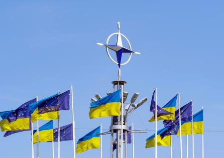 Украинский кризис исключили из повестки заседания Совета НАТО