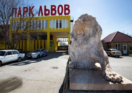 Сотрудников парка «Тайган» заподозрили в частых и грубых нарушениях закона
