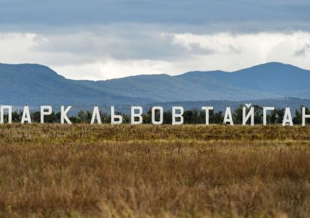 Льва усыпить, «Тайган» закрыть? Зверь растерзал директора сафари-парка