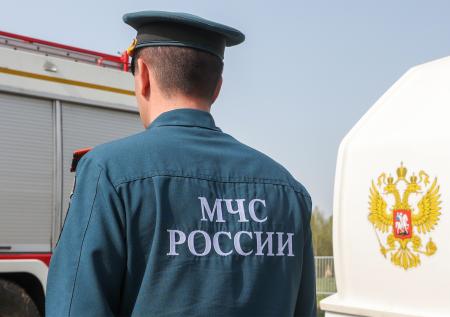 Застрявшего в электрических проводах аиста спасли под Петербургом