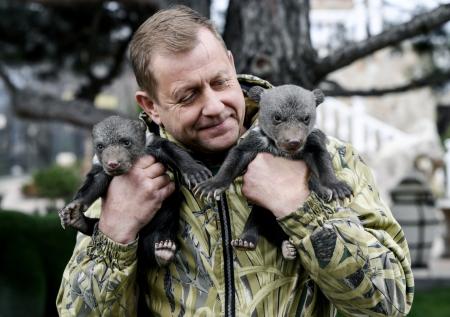 «Я жив»: растерзанный тигром Зубков написал письмо