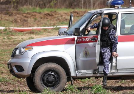 Дачник чуть не подорвался на столетних гранатах в своем огороде