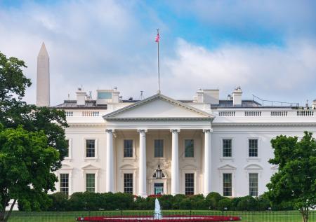 Трамп решил устроить бой UFC в Белом доме