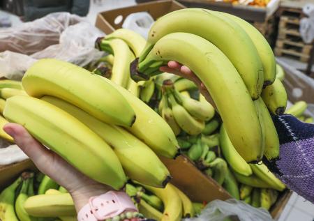 Бананы включили в перечень сельскохозяйственной продукции России