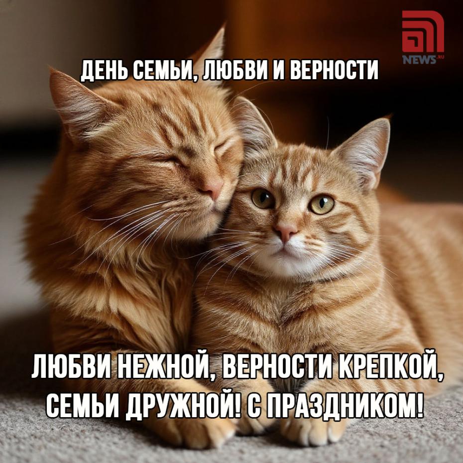 День семьи, любви и верности — трогательные открытки и картинки