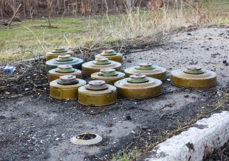 В Совфеде объяснили, почему Россия не участвует в конвенции о запрете мин