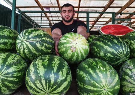 Как выбрать арбуз: проверенные способы, советы экспертов и народные методы