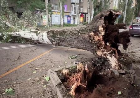 Ураган в Донецке унес жизнь ребенка
