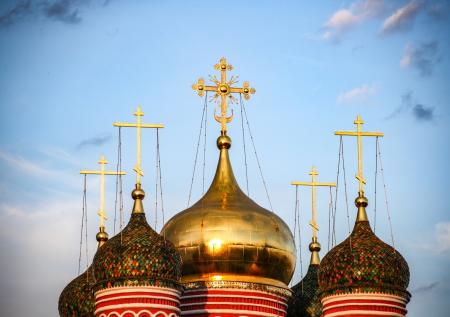 Депутат объяснил смысл закона о религиозных символах