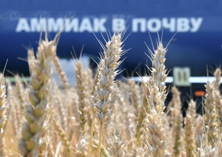 Генерал предупредил о провокации Киева с подрывом 550 тонн аммиака