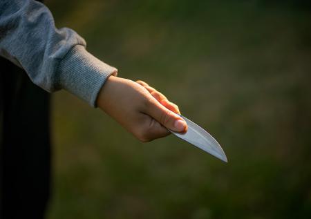 В Смоленске прохожие спасли женщину от напавшего на нее с ножом мужчины