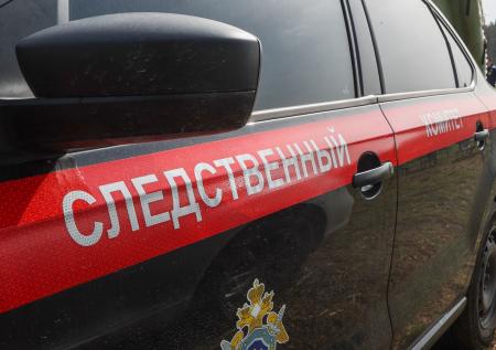 Следственный комитет возбудил уголовные дела на журналистов «Дождя»