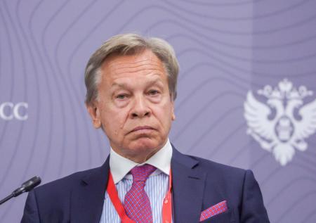 Сенатор усомнился в заявлениях Румынии о «вмешательстве» России