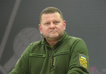 В Госдуме раскрыли, насколько вероятна смена Зеленского на Залужного