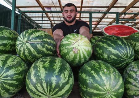 Раскрыта причина резкого падения цен на арбузы в России
