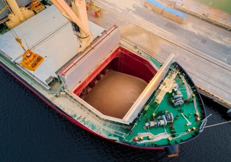 Китай сократил закупки пшеницы из России почти в 20 раз