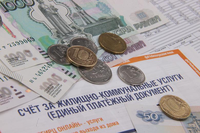 Депутат Разворотнева заявила, что Госдума не одобрит продажу долгов за ЖКУ коллекторам