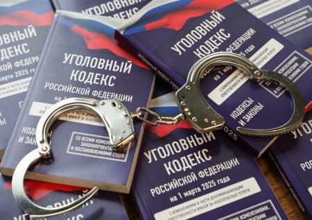 Российского бизнесмена обвинили в хищении бюджетных средств