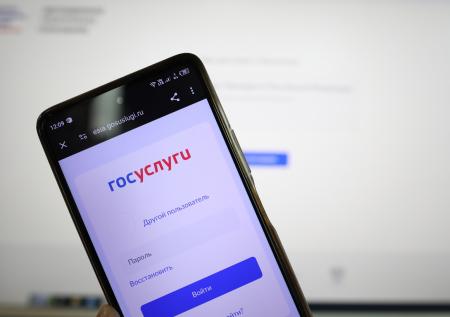 В Госдуме рассказали, как принять участие в выборах онлайн