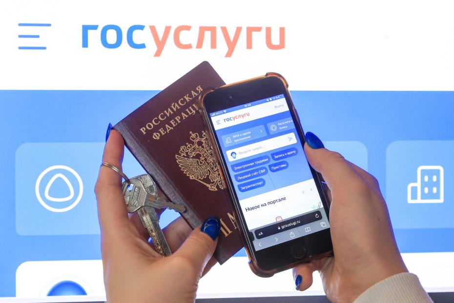 Как проверить, выпустят ли за границу в аэропорту: полная инструкция