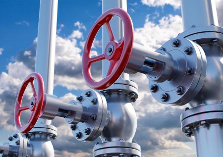 Одна страна не подтвердила отказ от импорта российской нефти