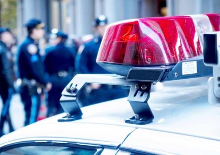 В Канаде задержали птицу, которая устроила пожар с помощью рыбы