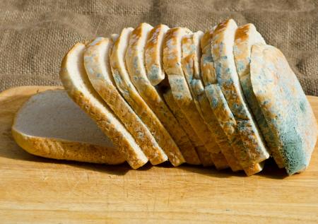 Россиянам объяснили, можно ли есть заплесневелые продукты