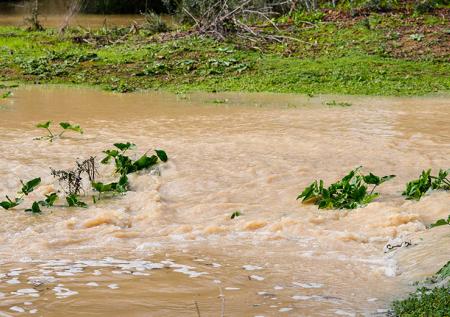 В Краснодарском крае десятки жилых домов уходят под воду