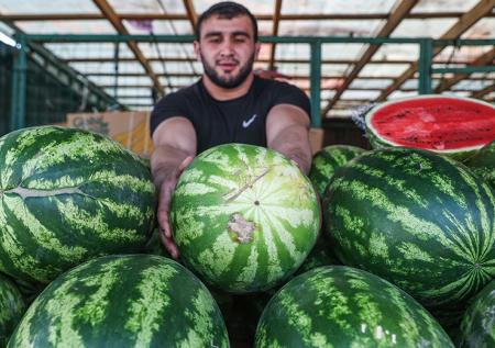 Биолог объяснила, как выбрать самый спелый арбуз
