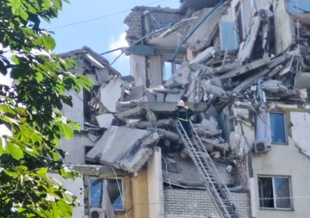 Кошку спасли из-под завалов рухнувшего в Саратове дома спустя две недели