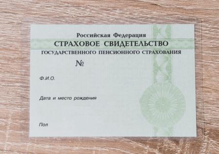 В Госдуме объяснили идею включить данные СНИЛС в паспорт