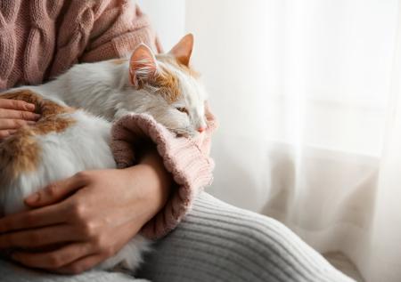 Названы самые опасные болезни, которые кошки могут передать человеку
