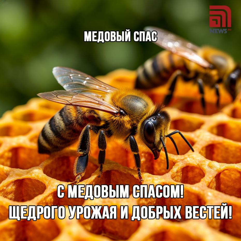 Онлайн-открытки с поздравлениями к Медовому спасу