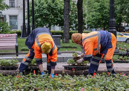 Россиянам рассказали, можно ли привлечь к ответственности за порчу клумб