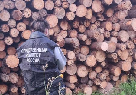 Два школьника тайком пробрались на пилораму и умерли