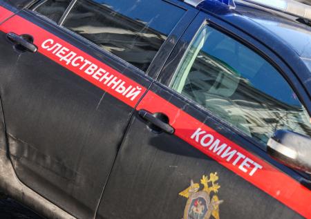 Педофил надругался над семилетней девочкой и скрылся