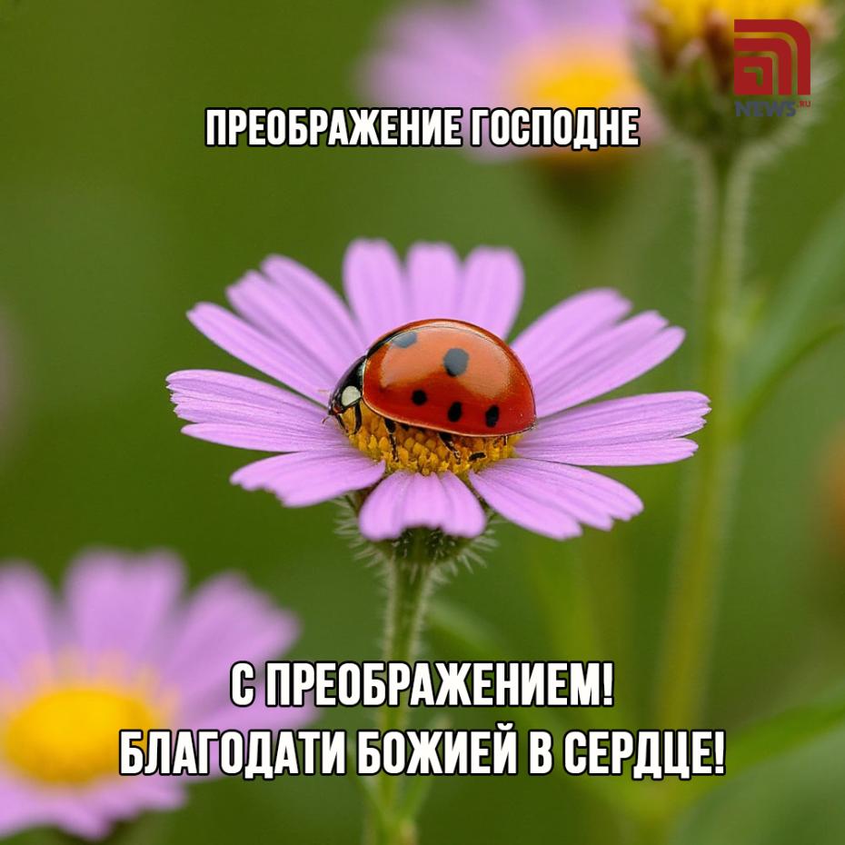 Преображение Господне 19 августа: онлайн-картинки с поздравлениями