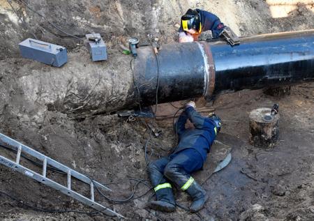 Экономист объяснил бездействие Венгрии после остановки поставок нефти из РФ