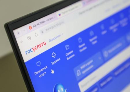 Брокер рассказал о плюсах аренды жилья на «Госуслугах»