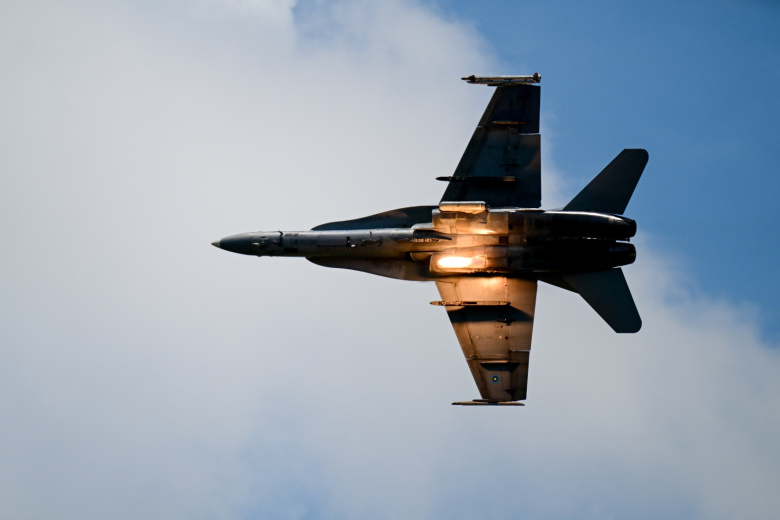 Истребитель F/A-18D Hornet