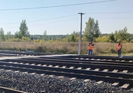 Грузовой поезд насмерть сбил пенсионерку под Новосибирском