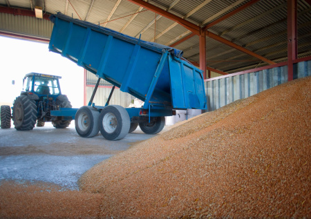 На Украине продали сотни тонн радиоактивных сельхозкультур