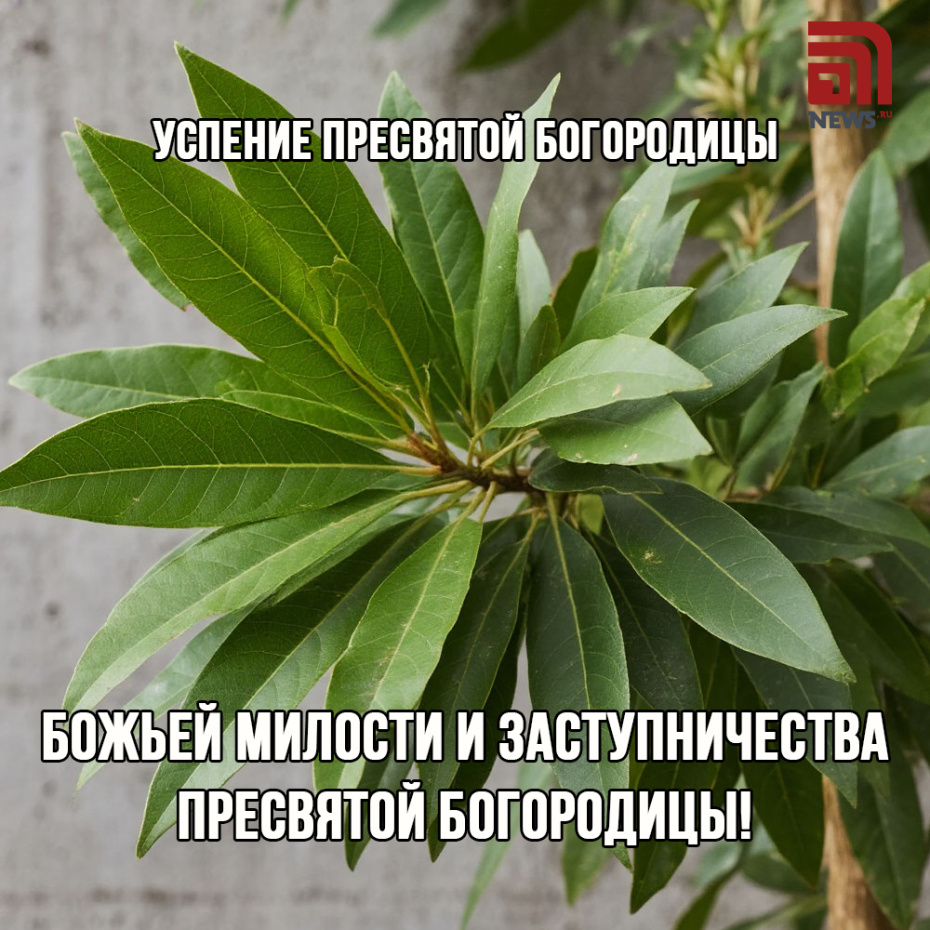 Успение Пресвятой Богородицы 28 августа: красивые открытки с поздравлениями