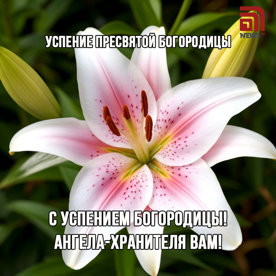 28 августа православный мир отмечает великий праздник — Успение Пресвятой Богородицы